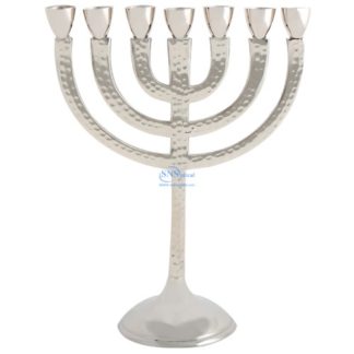 SNSArts /& Judaica Beautiful Polyresin Shofar with Silvered Enamel 12cm